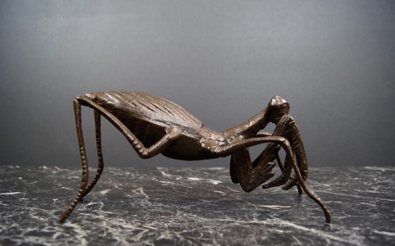 Praying Mantis