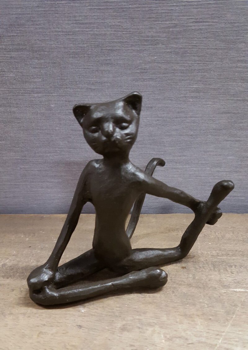 Yoga Cat