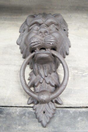 Lion Door Knock