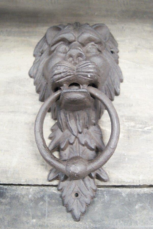 Lion Door Knock