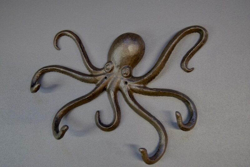 Octopus