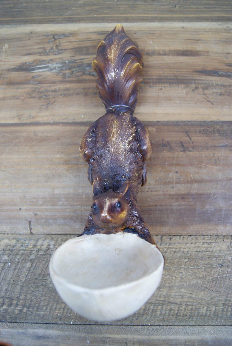 Squirrel on wall