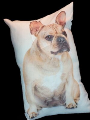 Dog Pillow