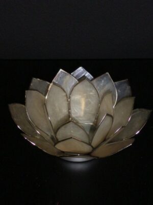 Lotus White silver border