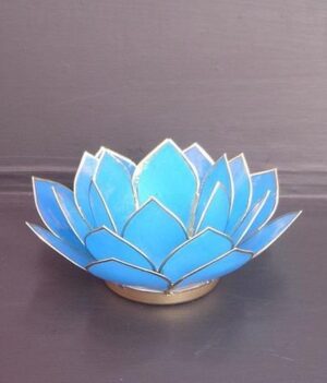 Lotus Dark Sea Blue