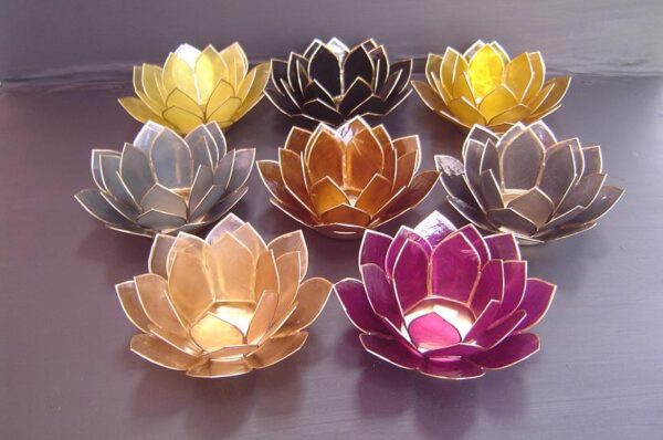 Lotus Earth Asstd