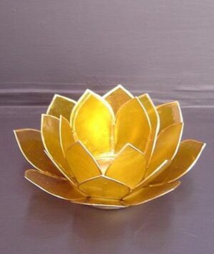 Lotus Italian Yellow