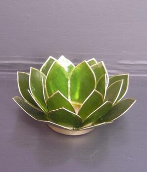 Lotus Olive Green