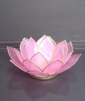 Lotus Rose