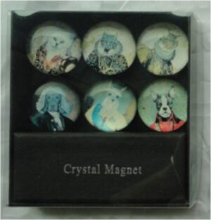3 Cat & Dog Magnets S/6