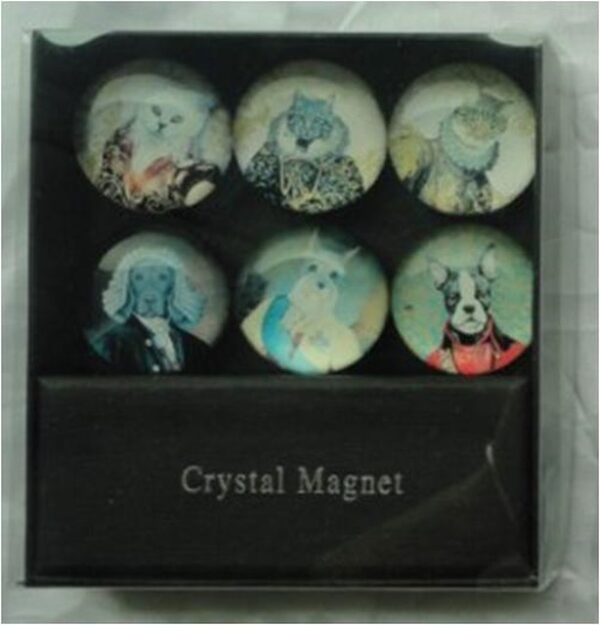 3 Cat & Dog Magnets S/6