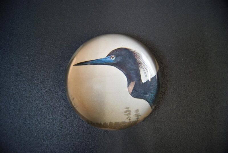 Paperweight blue bird