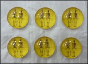 Skeleton Matnets S/6