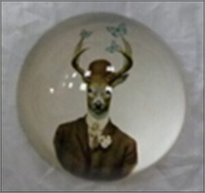 Deer Pweight