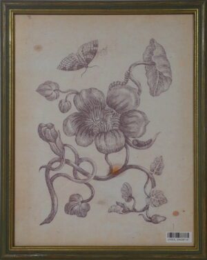 Vintage Flower Picture