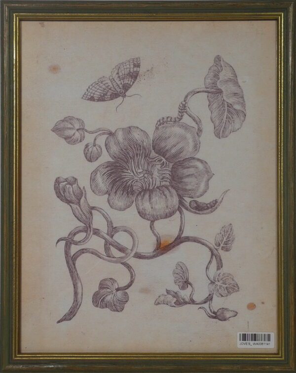 Vintage Flower Picture