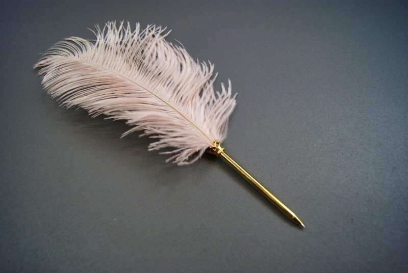 Ostrich feather pen pink