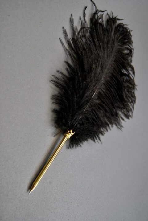 Ostrich feather pen black