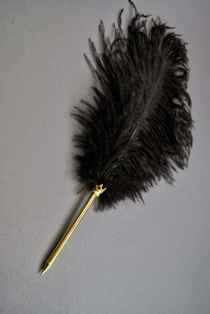Ostrich feather pen black
