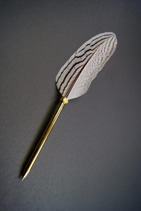 Feather ball pen