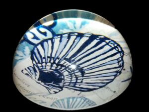 Sea Shell Paperweight