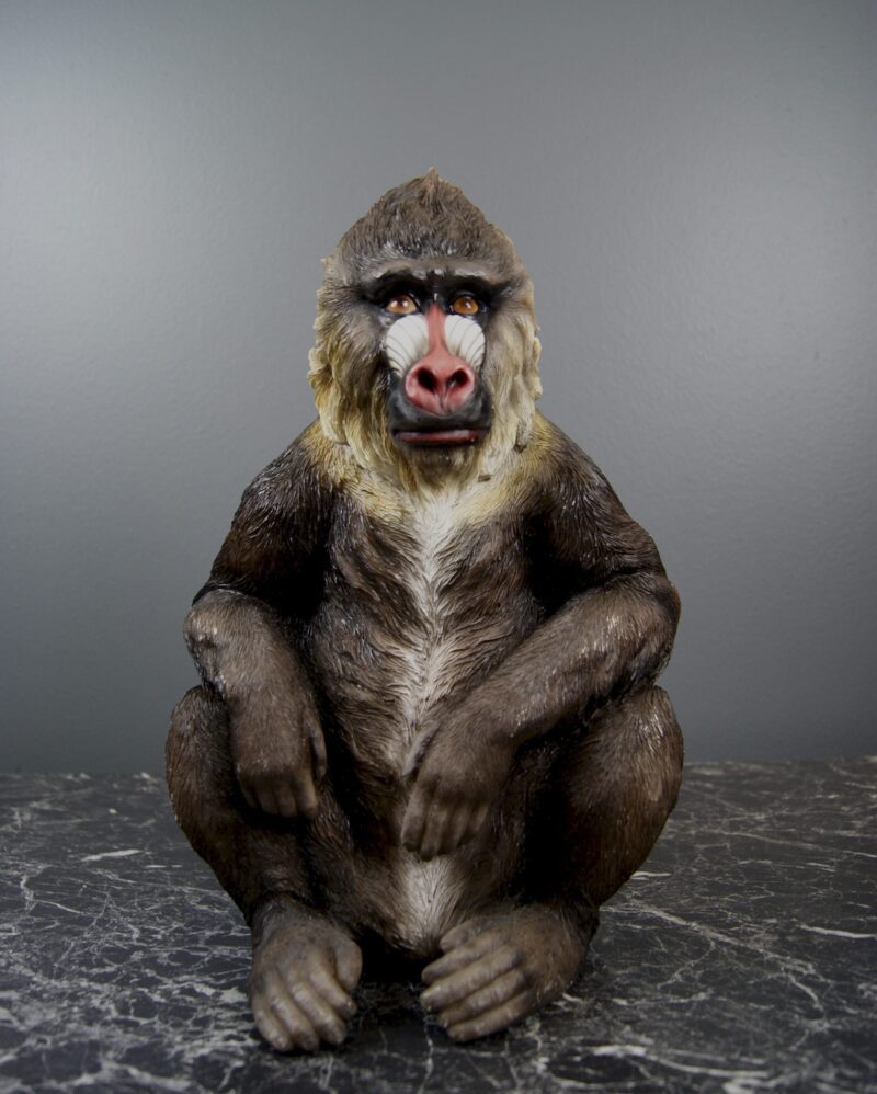 Monkey