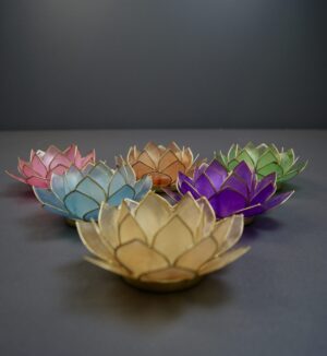Lotus Ass Pastell Colors