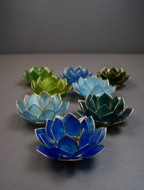 Lotus Cold Assorted