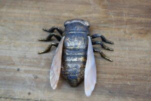 3" Cicada