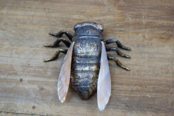 3" Cicada