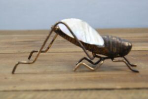 3.7" Grasshopper