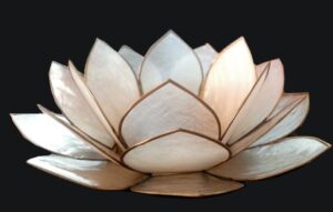 Lotus White