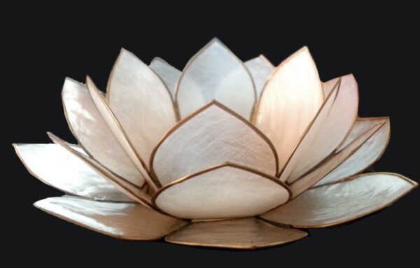 Lotus White