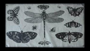 Dragonfly & Butterfly 100*60*2