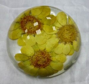 Paperweight With Dray Flower
