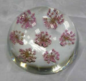 Paperweight With Dray Flower