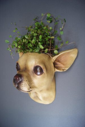 CHIHUAHUA PLNTR ANTQ