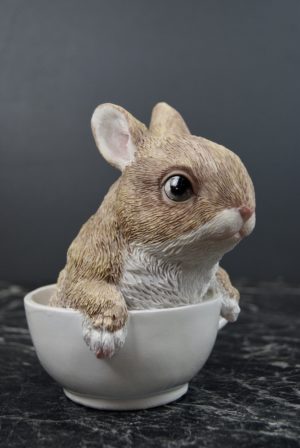 Mouse cup