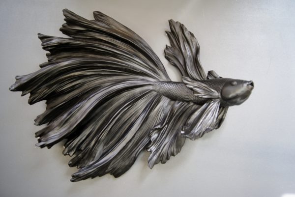 Goldfish black hanging