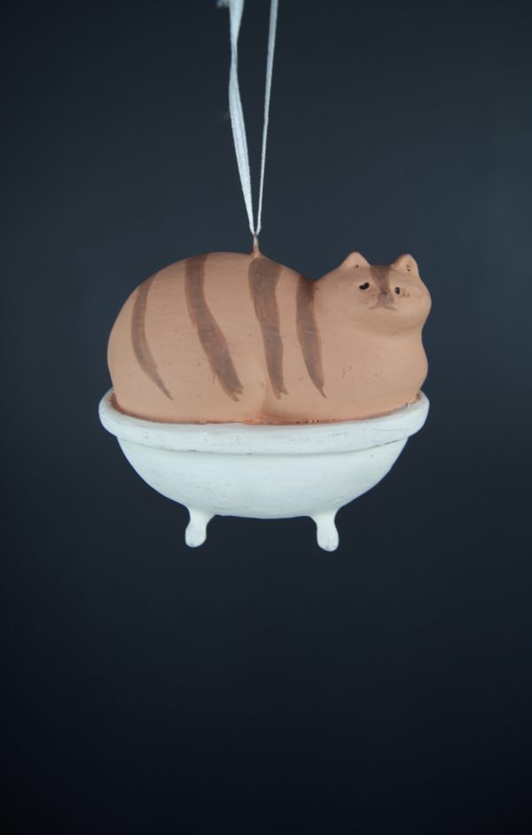 Fat cat in tub