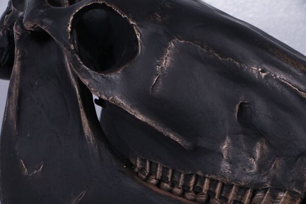 Horse skull IB - Image 3