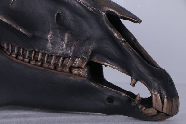 Horse skull IB - Image 2