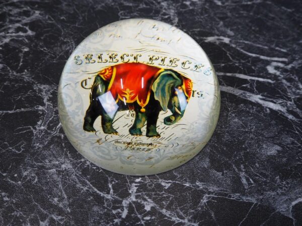 Elephant P weight - Image 2
