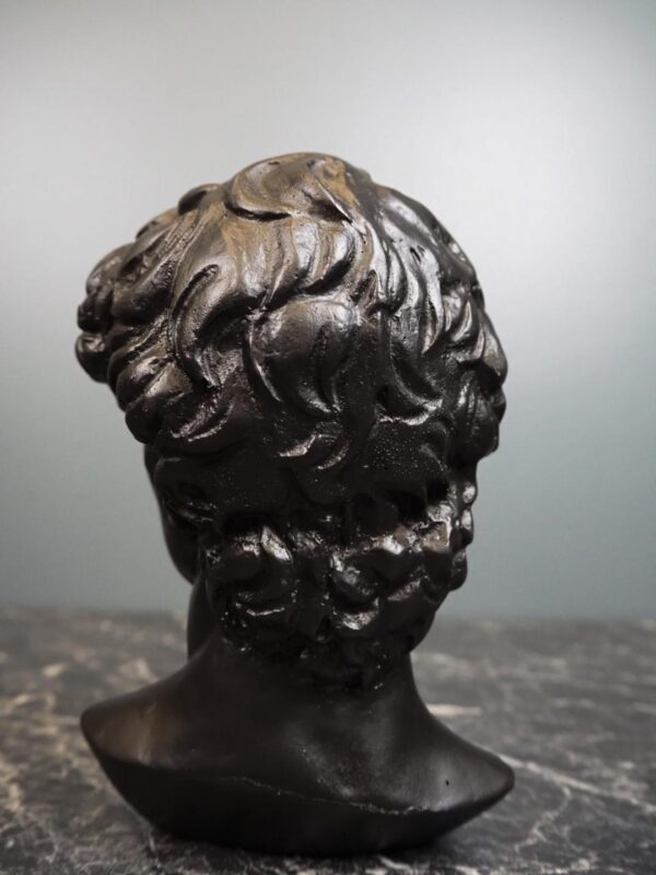 David head - Image 3
