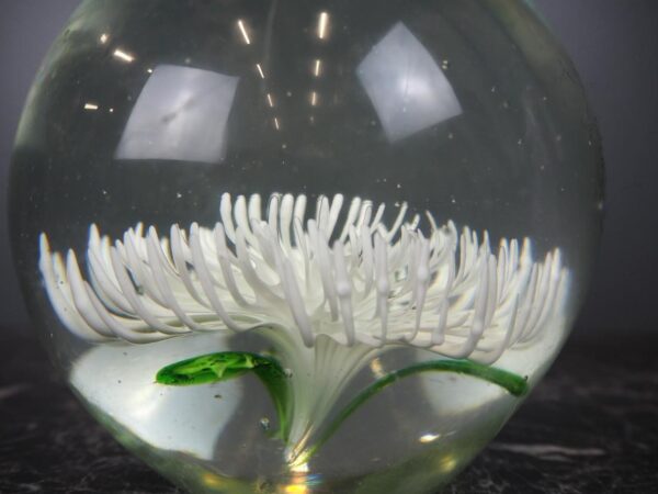 Glas w flower L - Image 2