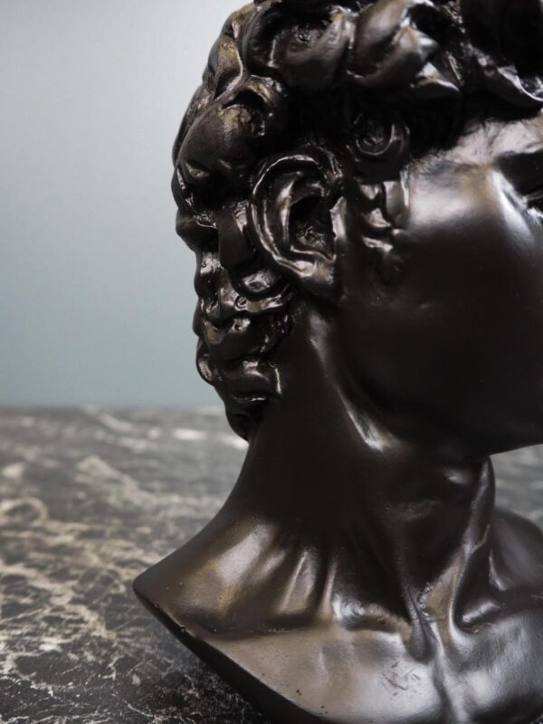David head - Image 4