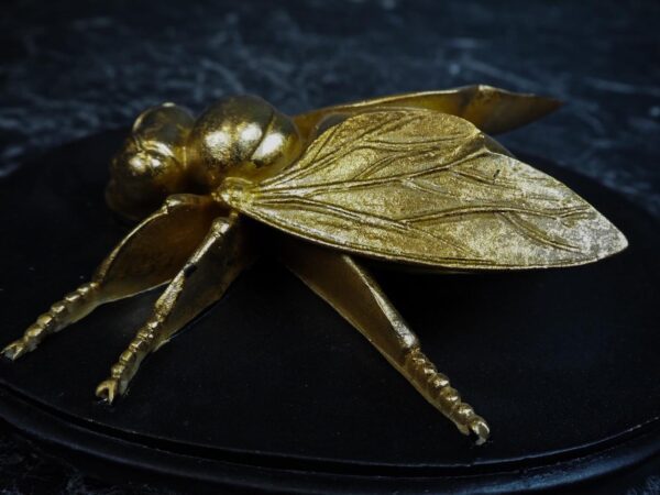 10"Hanging Weevil - Image 2