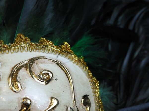 Face Mask w/feather - Image 4