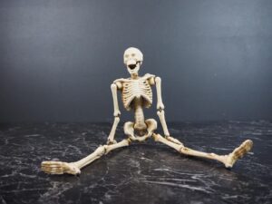Skeleton