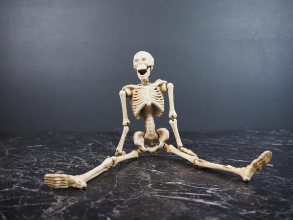 Skeleton